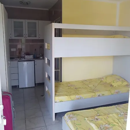 Petrovic * Podgorica